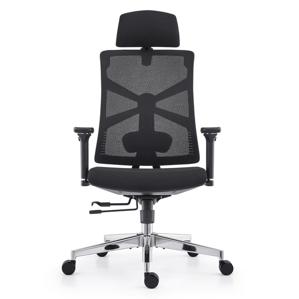 HOLLUDLE Ergonomic Office Chair Shaper Chair for All-Day Comfort