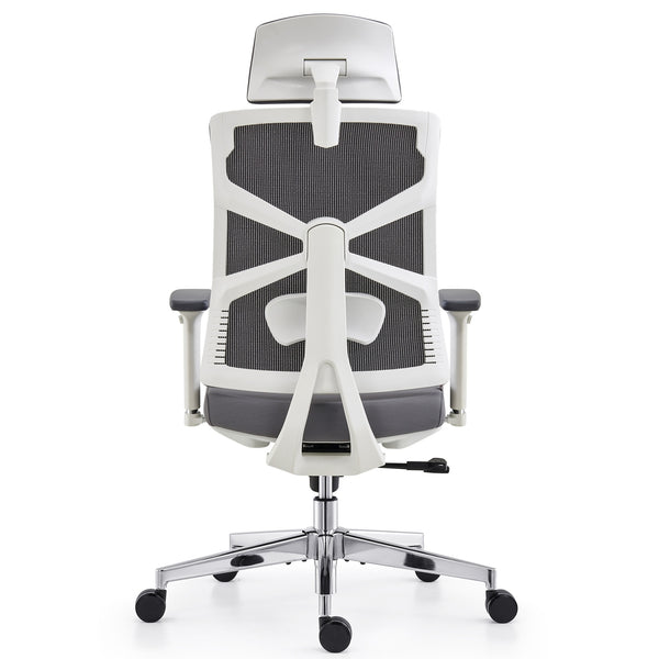 HOLLUDLE Ergonomic Office Chair Shaper Chair for All-Day Comfort