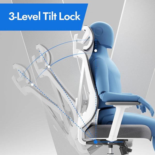 ergonomic chair with tilt lock and back support