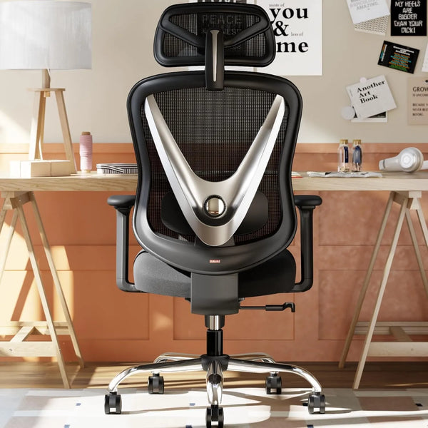best ergonomic office chair for lower back pain relief