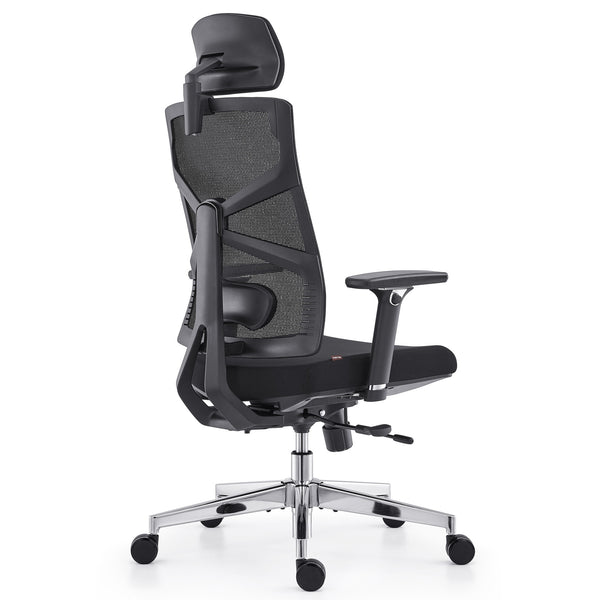 HOLLUDLE Ergonomic Office Chair Shaper Chair for All-Day Comfort