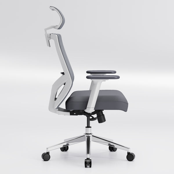 【New Arrivals】HOLLUDLE Ergonomic Office Chair Ease Chair for Home and Office