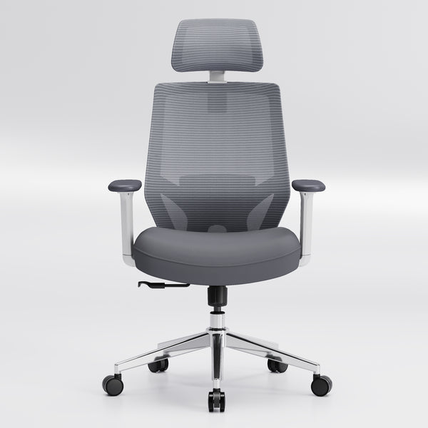 【New Arrivals】HOLLUDLE Ergonomic Office Chair Ease Chair for Home and Office
