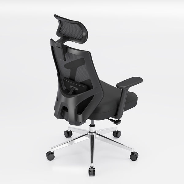 【New Arrivals】HOLLUDLE Ergonomic Office Chair Ease Chair for Home and Office