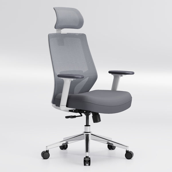 【New Arrivals】HOLLUDLE Ergonomic Office Chair Ease Chair for Home and Office