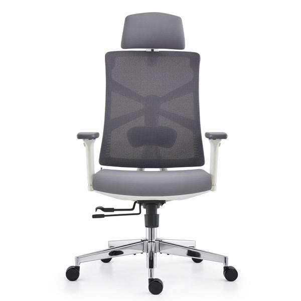 HOLLUDLE Ergonomic Office Chair Shaper Chair for All-Day Comfort