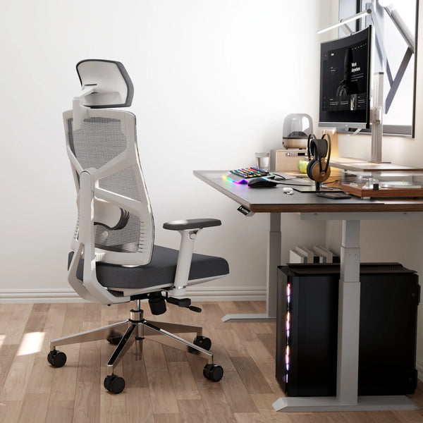 HOLLUDLE ergonomic office chair to prevent sciatica