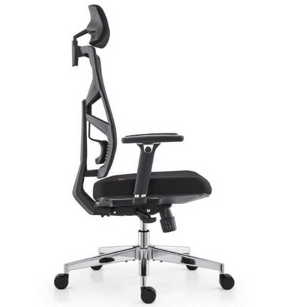 HOLLUDLE Ergonomic Office Chair Shaper Chair for All-Day Comfort
