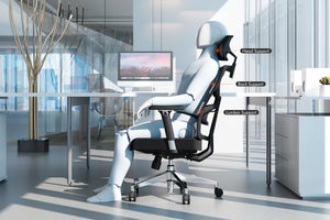 Holludle Ergonomic Office Chair