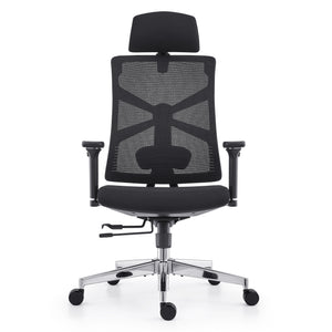 HOLLUDLE Ergonomic Office Chair Shaper Chair for All-Day Comfort