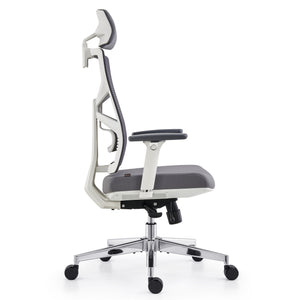 HOLLUDLE Ergonomic Office Chair Shaper Chair for All-Day Comfort
