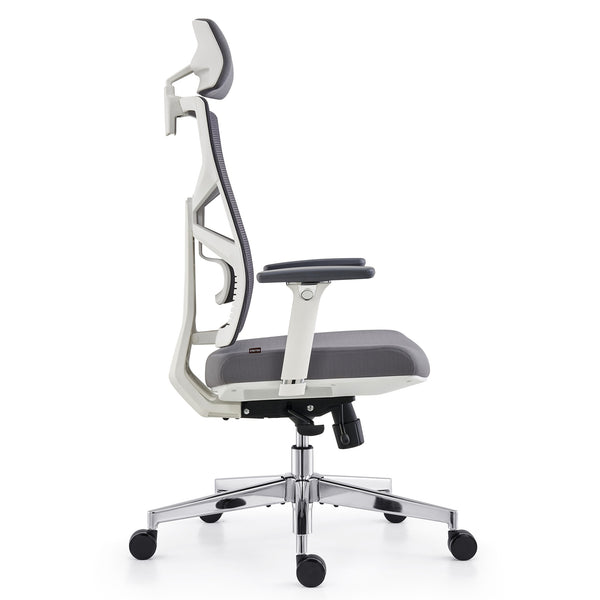 HOLLUDLE Ergonomic Office Chair Shaper Chair for All-Day Comfort