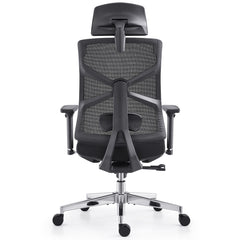 HOLLUDLE Ergonomic Office Chair Shaper Chair for All-Day Comfort