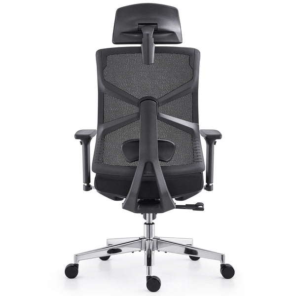 HOLLUDLE Ergonomic Office Chair Shaper Chair for All-Day Comfort