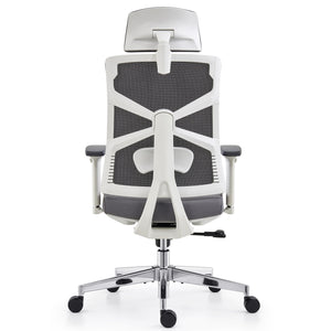 HOLLUDLE Ergonomic Office Chair Shaper Chair for All-Day Comfort