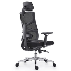HOLLUDLE Ergonomic Office Chair Shaper Chair for All-Day Comfort