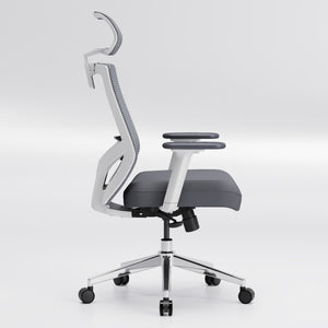 【New Arrivals】HOLLUDLE Ergonomic Office Chair Ease Chair for Home and Office