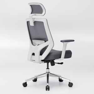 【New Arrivals】HOLLUDLE Ergonomic Office Chair Ease Chair for Home and Office