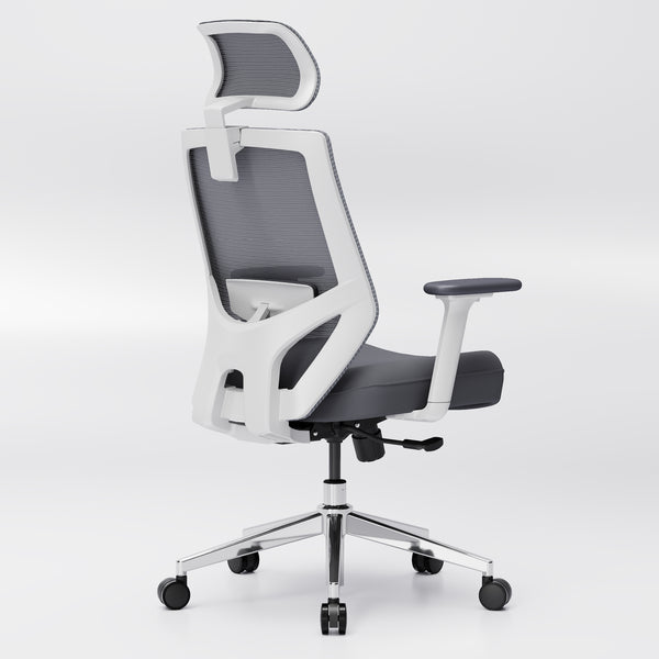 【New Arrivals】HOLLUDLE Ergonomic Office Chair Ease Chair for Home and Office