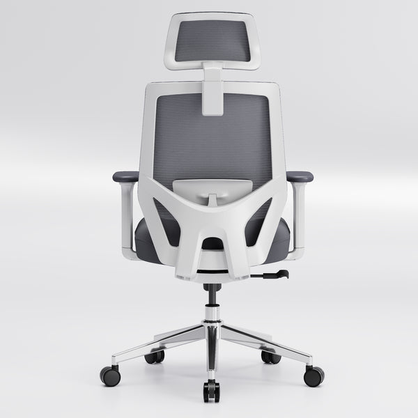 【New Arrivals】HOLLUDLE Ergonomic Office Chair Ease Chair for Home and Office