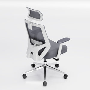 【New Arrivals】HOLLUDLE Ergonomic Office Chair Ease Chair for Home and Office