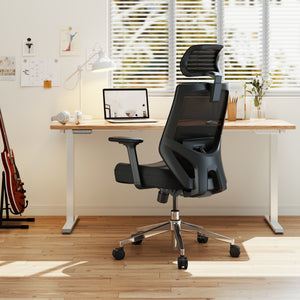 【New Arrivals】HOLLUDLE Ergonomic Office Chair Ease Chair for Home and Office