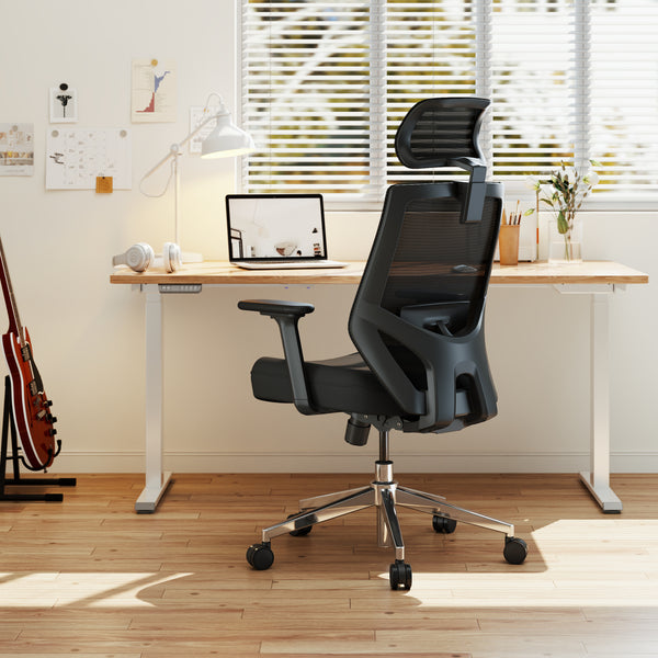 【New Arrivals】HOLLUDLE Ergonomic Office Chair Ease Chair for Home and Office