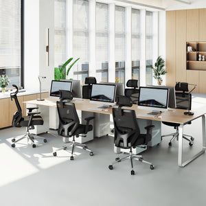 【New Arrivals】HOLLUDLE Ergonomic Office Chair Ease Chair for Home and Office