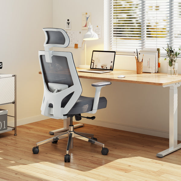 【New Arrivals】HOLLUDLE Ergonomic Office Chair Ease Chair for Home and Office