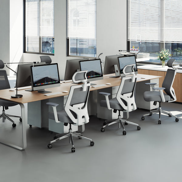 【New Arrivals】HOLLUDLE Ergonomic Office Chair Ease Chair for Home and Office