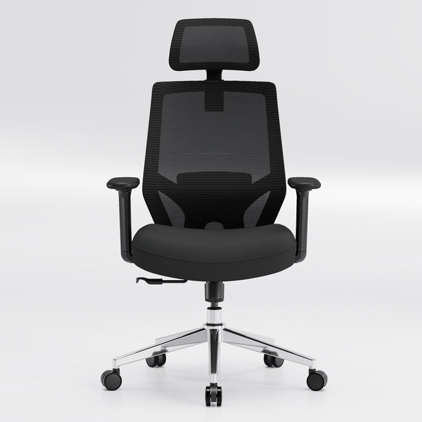 【New Arrivals】HOLLUDLE Ergonomic Office Chair Ease Chair for Home and Office