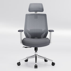 【New Arrivals】HOLLUDLE Ergonomic Office Chair Ease Chair for Home and Office