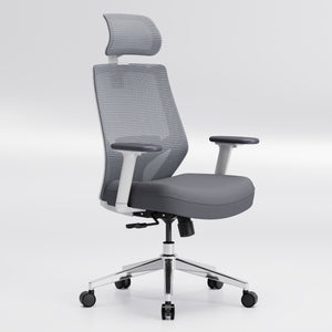 【New Arrivals】HOLLUDLE Ergonomic Office Chair Ease Chair for Home and Office