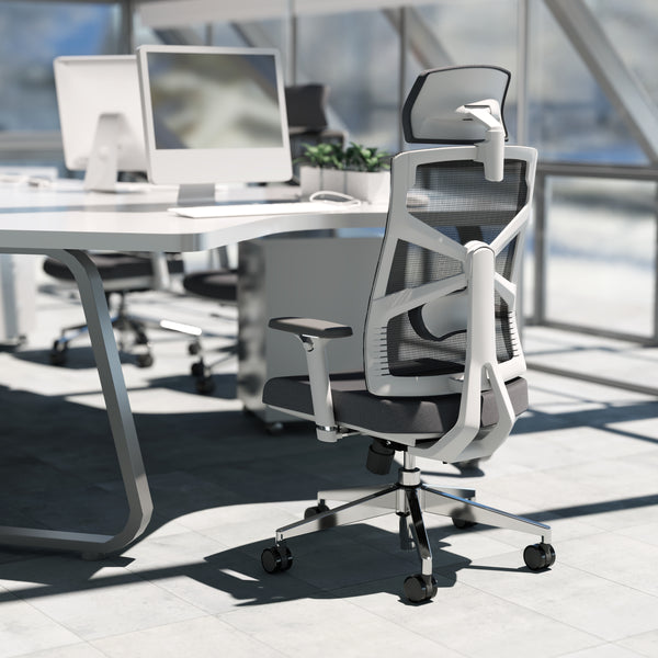 HOLLUDLE Ergonomic Office Chair