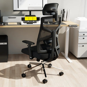 HOLLUDLE ergonomic office chair for back pain relief