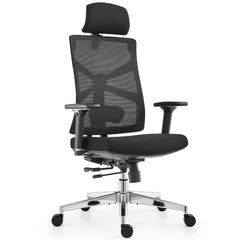 HOLLUDLE Ergonomic Office Chair Shaper Chair for All-Day Comfort