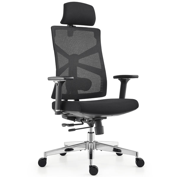 HOLLUDLE Ergonomic Office Chair Shaper Chair for All-Day Comfort