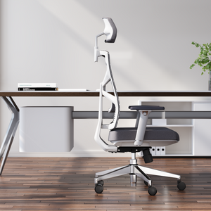 HOLLUDLE Ergonomic Office Chair