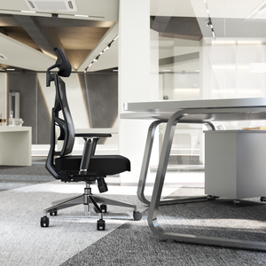 HOLLUDLE Ergonomic Office Chair