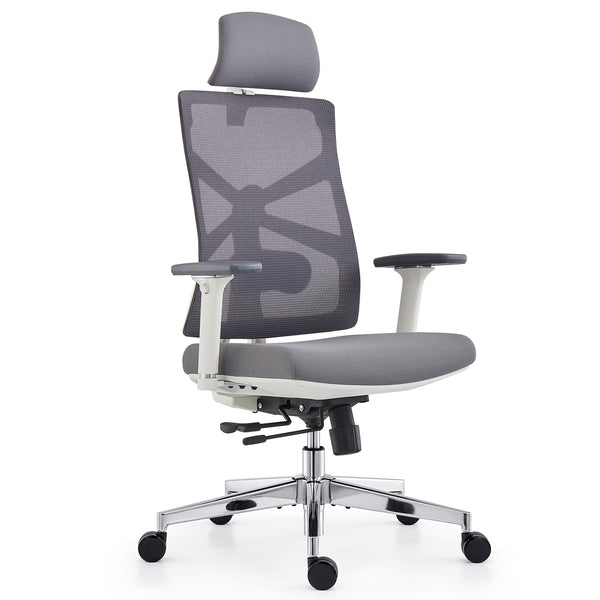 HOLLUDLE Ergonomic Office Chair Shaper Chair for All-Day Comfort