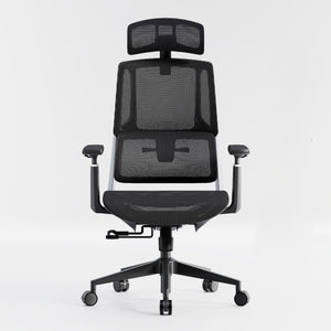 HOLLUDLE Aegis Ergonomic Office Chair with Breathable Mesh Seat