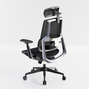 HOLLUDLE Aegis Ergonomic Office Chair with Breathable Mesh Seat