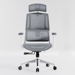 HOLLUDLE Aegis Ergonomic Office Chair with Breathable Mesh Seat