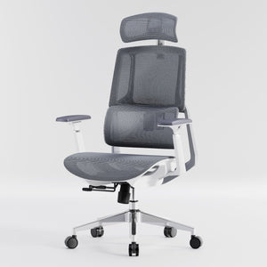 HOLLUDLE Aegis Ergonomic Office Chair with Breathable Mesh Seat