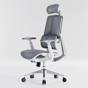 HOLLUDLE Aegis Ergonomic Office Chair with Breathable Mesh Seat