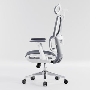 HOLLUDLE Aegis Ergonomic Office Chair with Breathable Mesh Seat