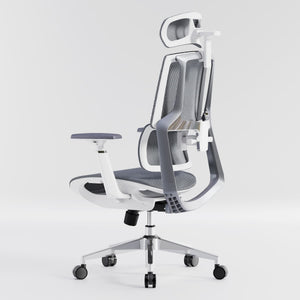 HOLLUDLE Aegis Ergonomic Office Chair with Breathable Mesh Seat
