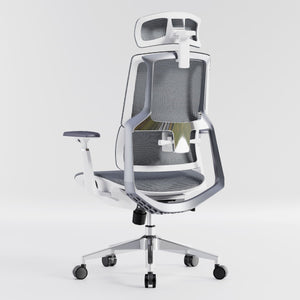 HOLLUDLE Aegis Ergonomic Office Chair with Breathable Mesh Seat