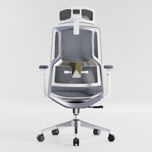 HOLLUDLE Aegis Ergonomic Office Chair with Breathable Mesh Seat
