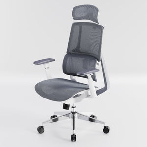 HOLLUDLE Aegis Ergonomic Office Chair with Breathable Mesh Seat